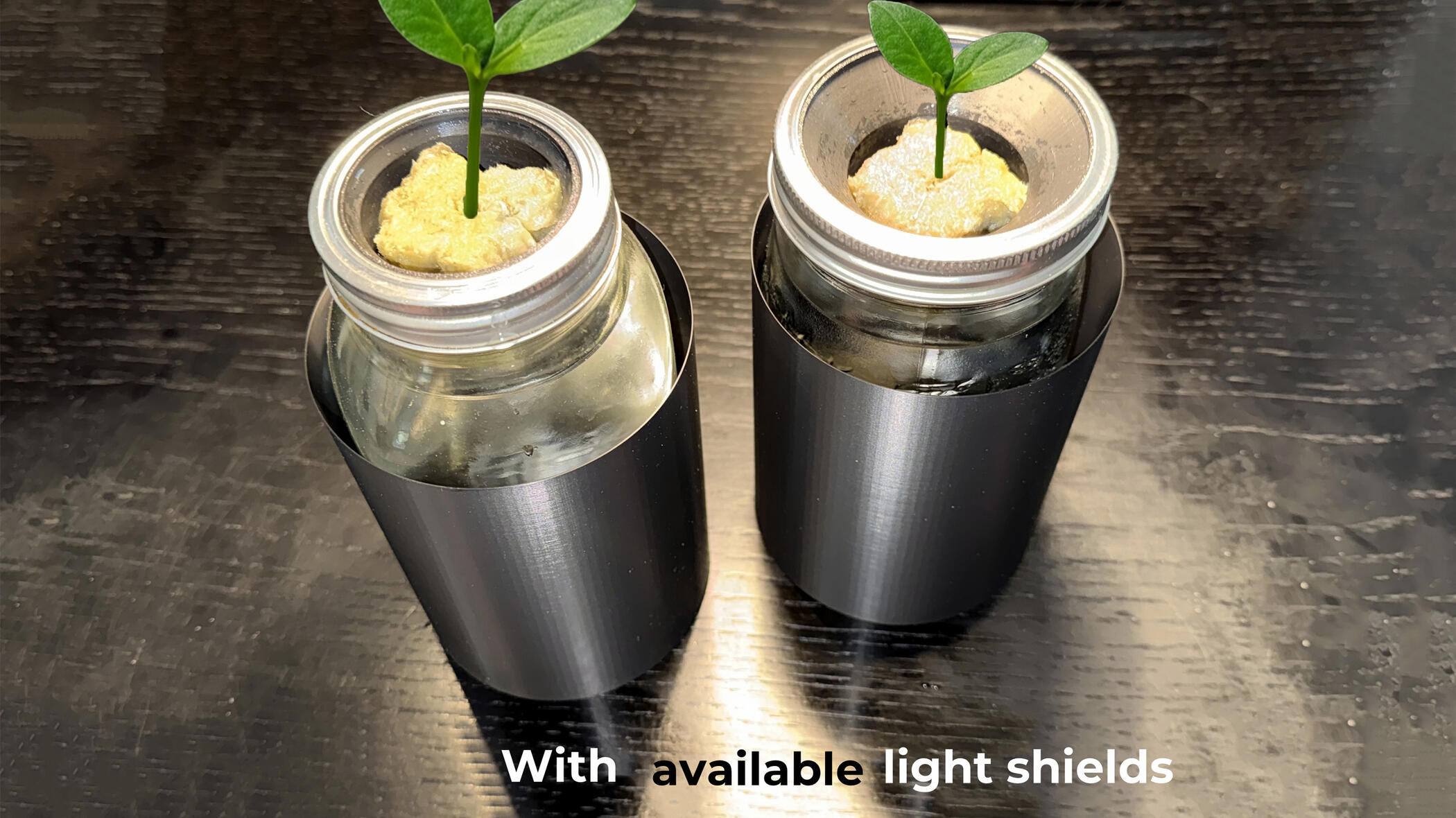 Optional light shields available for glass containers